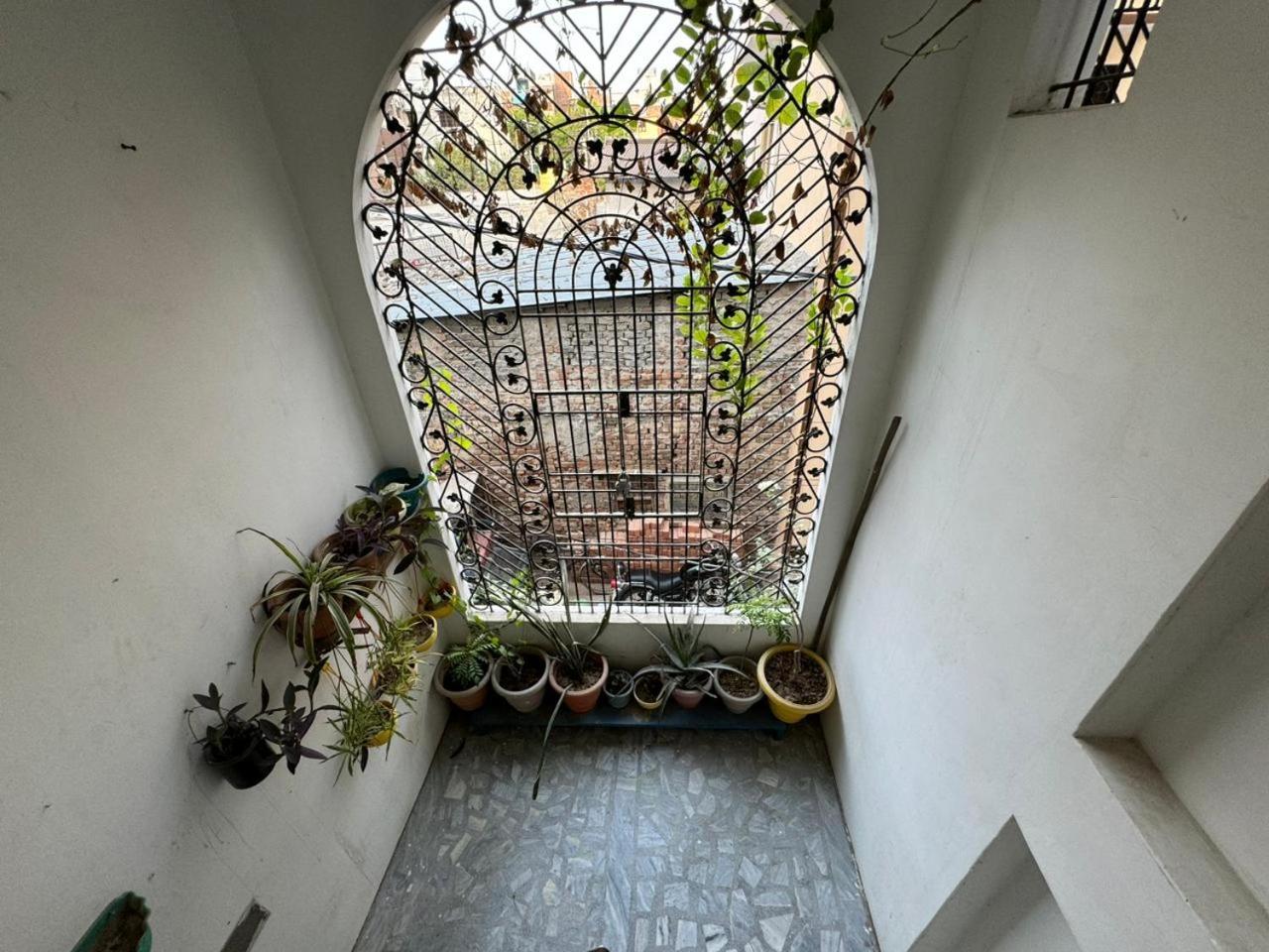 El Profesor Varanasi Bagian luar foto